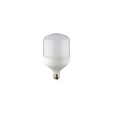Noas 20W 6500K Beyaz Işık Led Torch Ampul