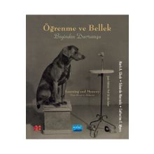 Nobel Akademik Yayıncılık - Öğrenme ve Bellek Beyinden Davranışa - Learning and Memory From Brain to Behavior