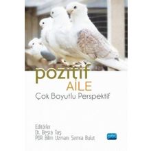 Nobel Akademik Yayıncılık Pozitif Aile Çok Boyutlu Perspektif