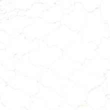 Nodes 2,5 mm Beyaz Kale Filesi Ağı