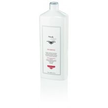 Nook 1000 ml Difference Hair Care Energizing Canlandırıcı Şampuan