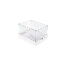 Novis Liora Filtreli Lambalı Cam Kaplumbağa Bahçesi 40X29X25 cm