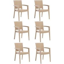 Novussi 6 Adet Cappuciono Paris Rattan Kollu Sandalye Koltuk