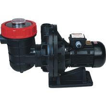 Nozbart 3 HP Monofaze İlk Seri Havuz Pompası