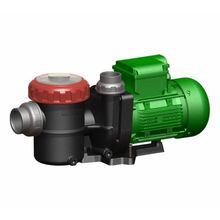 Nozbart Hamsi Serisi 1 Hp Monofaze Havuz Pompası