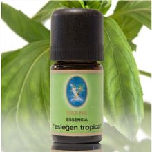 Nuka Tropikal 5 ml Organik Fesleğen Yağı