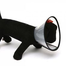Nunbell 35,5 cm Elizabet Kedi ve Köpek Yakalık