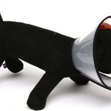Nunbell L Boynu 35-40 cm Olan Köpeklere 18 cm Genişlik Elizabeth Yakalık