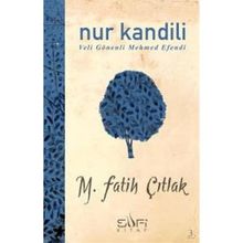 NUR KANDILI VELÎ GÖNENLI MEHMED EFENDI - M. FATIH ÇITLAK