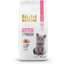 Nutri Feline 2 kg Yavru Glutensiz Kuru Kedi Maması