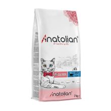 Nutri Feline Adult Salmon Somonlu Yetişkinler İçin Özel 2 kg Kedi Maması