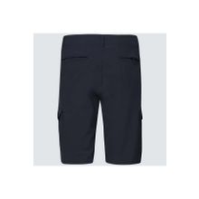 Oakley B1B Cargo Hybrid 21 Erkek Şort