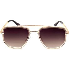 OBB Sunglasses OBB 8903 C2 Altın Erkek Güneş Gözlüğü