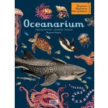 Oceanarium Megakids Yayıncılık