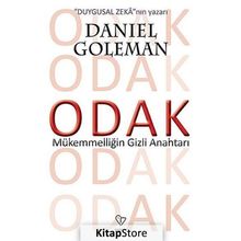 Odak - Daniel Goleman