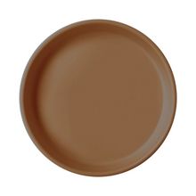 Oioi Woody Brown 6 Ay+ Basics Tabak