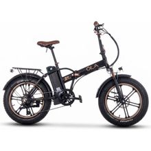 Ola Electrofold EFB10 Noir 250 W Katlanabilir Elektrikli Bisiklet