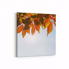 Olla 10523K Ağaç Görseli Kare 25x25 cm Kanvas Tablo