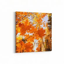 Olla 10524K Ağaç Görseli Kare 25x25 cm Kanvas Tablo