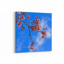 Olla 10539K Ağaç Görseli Kare 25x25 cm Kanvas Tablo