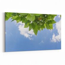 Olla 10800Y Ağaç Görseli Yatay 30x20 cm Kanvas Tablo