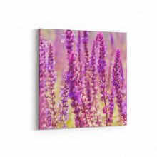 Olla 11578K Çiçek Görseli Kare 25x25 cm Kanvas Tablo