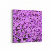 Olla 11587K Çiçek Görseli Kare 25x25 cm Kanvas Tablo