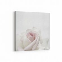 Olla 11601K Çiçek Görseli Kare 25x25 cm Kanvas Tablo