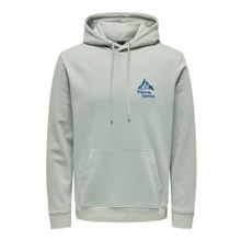 Only & Sons Onscarl Reg Mountain Sweat Hoodie Gri Erkek Sweatshirt