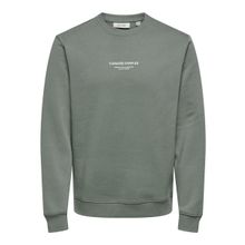 Only & Sons Onscurated Reg Crew Neck Sweat Castor Gray Erkek Sweatshirt