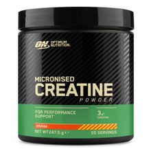 Optimum Nutrition Creatine Portakal Kreatin 248G