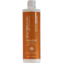 Organic Colour Systems Organic Power Build 400 ml Onarıcı Şampuan