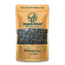 Organik Bitkim 250 gr Tane Menengiç Çitlenbik