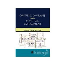 Örgütsel Davranış Odaklı Yönetsel Yaklaşımlar - Enver Aydoğan