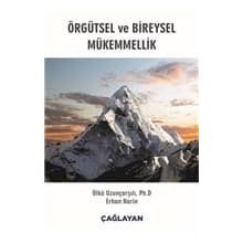 Örgütsel ve Bireysel Mükemmellik - Kolektif