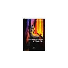 Orhan Pamuk Romanlarında Kediler Akademisyen Kitabevi