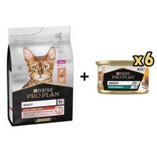 Orijen Guardian 8 4.5 kg Yetişkin Kedi Maması+Acana Premium Kuzulu Ezme 6x85 gr Kedi Konservesi