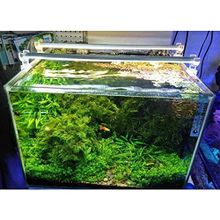 OrionLed Beyaz 60 cm 6500K Akvaryum Led Aydınlatma