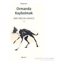Ormanda Kaybolmak - h ertug ucar