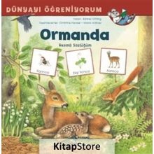 Ormanda Resimli Sözlüğüm - Dünyayı Öğreniyorum - Barbel Oftring