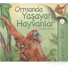 ORMANDA YAŞAYAN HAYVANLAR - JINNY JOHNSON;NICKI PALIN