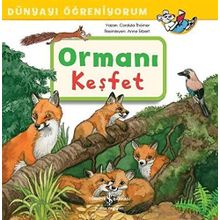 Ormanı Keşfet
