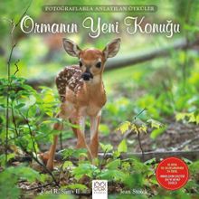 Ormanın Yeni Konuğu - Carl R. Sams II Jean Stoick