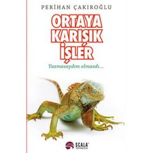 Ortaya Karışık İşler Yazmasaydım Olmazdı - Perihan Çakıroğlu