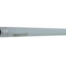 Osaka Light 6W T5 22 cm Floresan Ampul