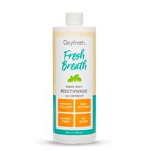 Oxyfresh 473 ml Naneli Ağız Bakım Suyu