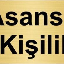 Özarslan Dizayn Asansör 4 Kişiliktir 10x20 cm Altın Renk Metal Yönlendirme Levhası