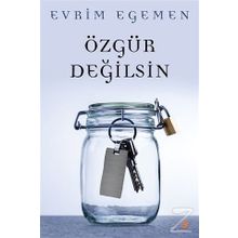 Özgür Değilsin - Evrim Egemen