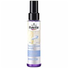 Palette 100 ml Renk Düzeltici Sprey