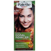Palette Natural 6.70 Bronz Kahve Saç Boyası